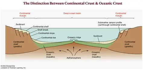 Factors Influencing the Percentage of the Continental Crust