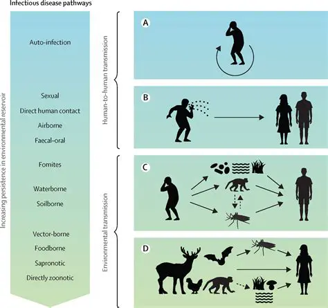 Factors Influencing the Prevalence of Nematodes