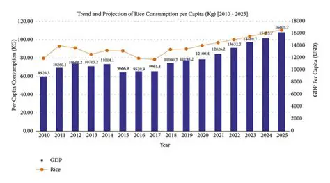 Factors that Affect the Level of Rice Consumption