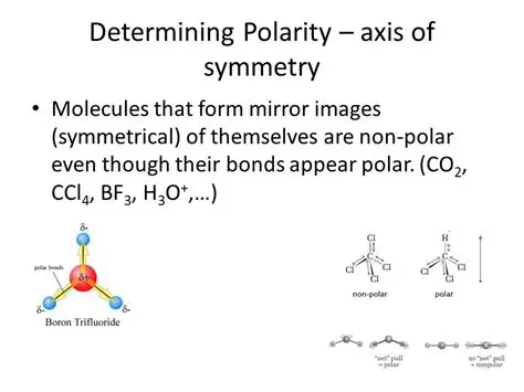 Factors that Determine Polarity