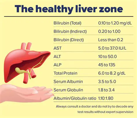 Factors that Influence Liver Function