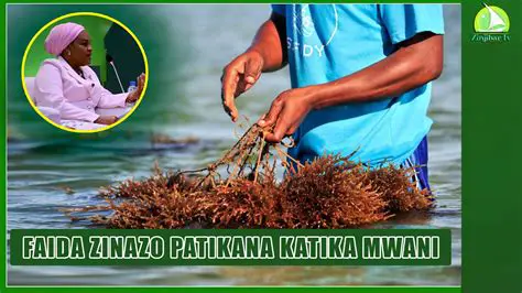 Faida za Kuzidisha na Kugawanya Sehemu