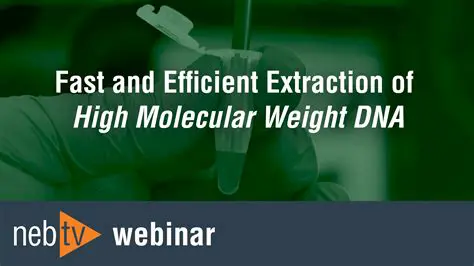 Fast and Efficient Extraction