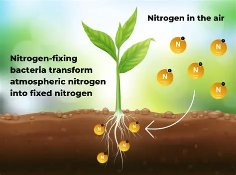 Faster release of nitrogen