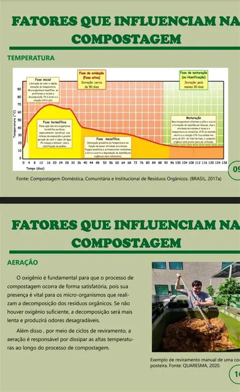 Fatores que Influenciam a Compostagem