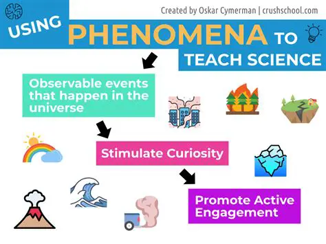 Features and Phenomena Observed in the Image