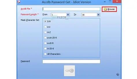 Features of Accdb Password Get