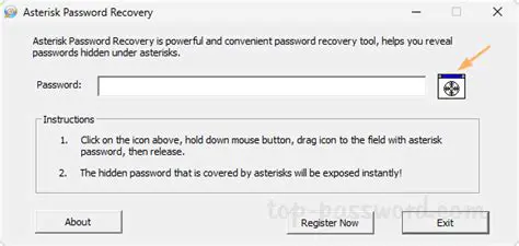 Features of Asterisk Password Buster