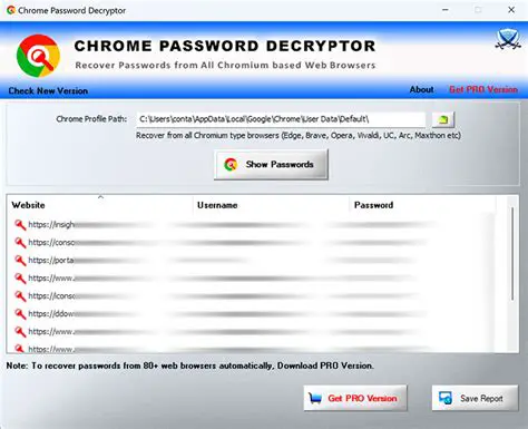 Features of Chrome Password Decryptor