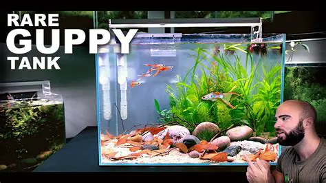Features of Guppies Deluxe Aquarium
