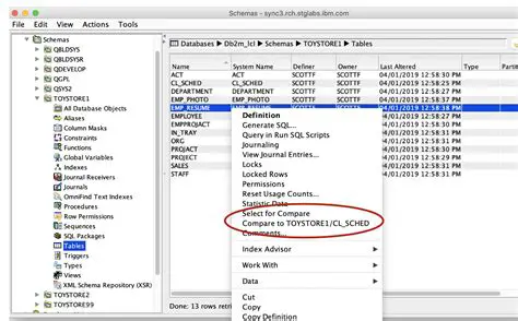 Features of IBM Client Access