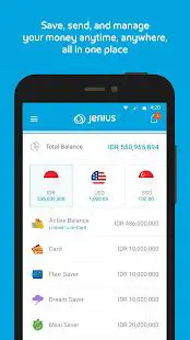 Features of JeniuS Plugin for Google Desktop
