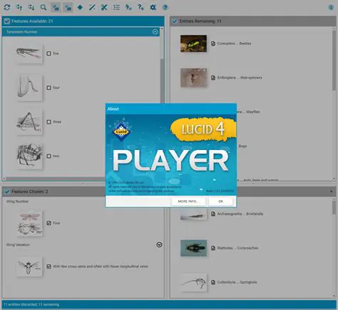 Features of Lucid Player Plus