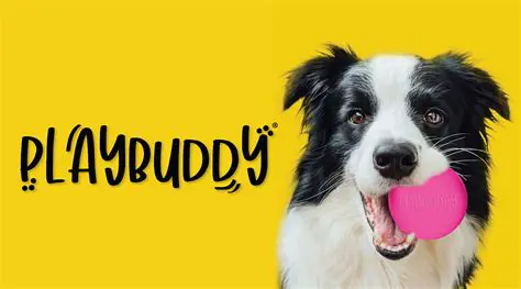 Features of PlayBuddy Toolbar