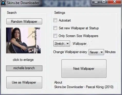Features of SkinsBe Downloader