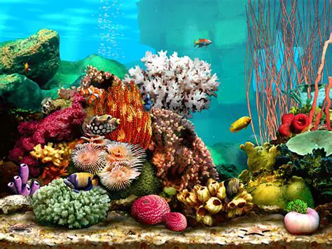 Features of the Living Marine Aquarium Screen Saver
