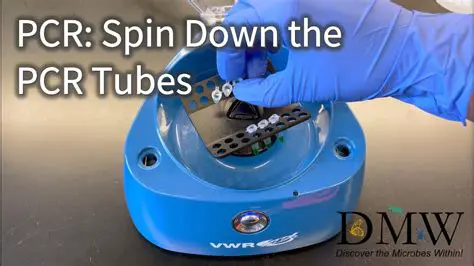 Features of the WD Spindown or Stop Utility