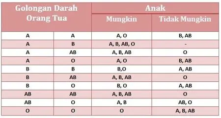 Fenomena Golongan Darah yang Membuat Pasangan Suami Istri Bingung