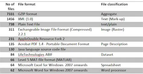 File Format Identification