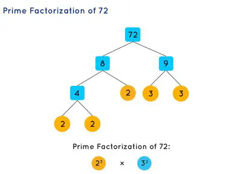 Find the prime factorization