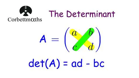 Finding the Determinant of a Matrix
