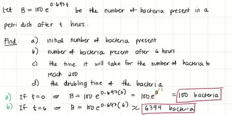 Finding the Initial Number of Bacteria
