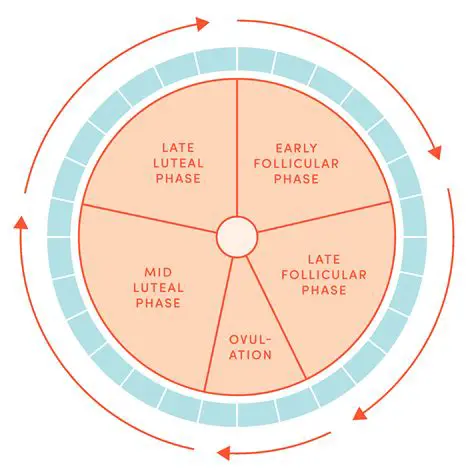 First day of last menstrual cycle