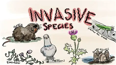 Five Invasive Species and Their Migration Strategies