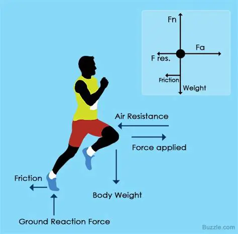 Forces Acting on Each Body