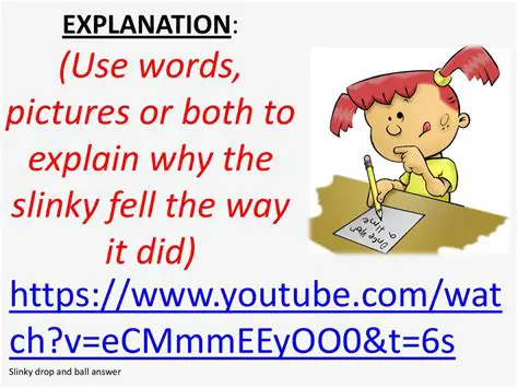 Forces Acting on the Slinky