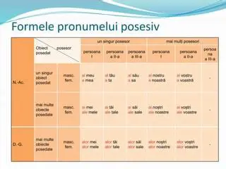 Forma de posesiv pentru un singur posesor