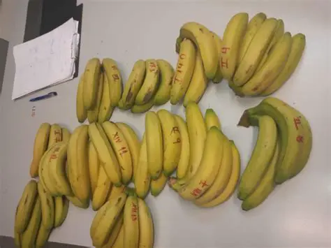 Formando Grupos com Bananas