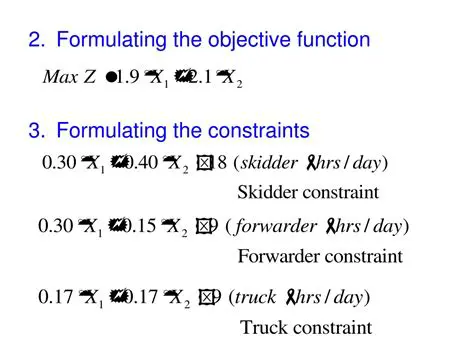 Formulating the Objective Function