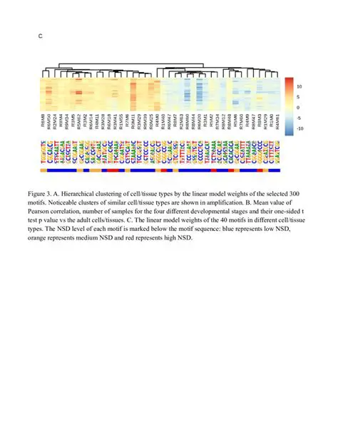 Formulating the Relationship