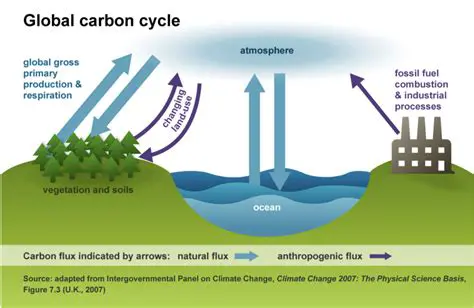 Fossil Fuel Combustion and the Greenhouse Effect