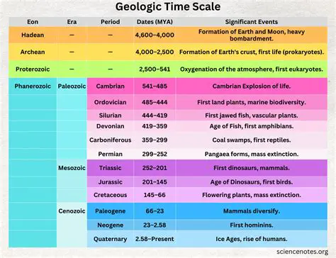 Free Range of Time Scale Units