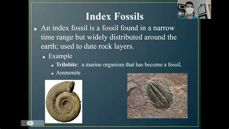 Frequently Asked Questions about Index Fossils