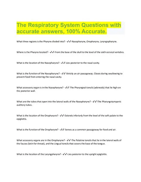 Frequently Asked Questions About the Respiratory System