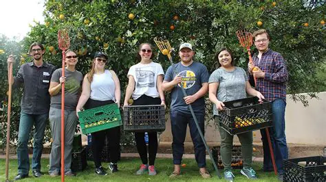 Fruit and vegetable gleaning