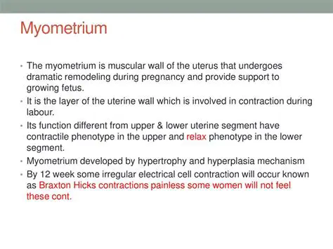 Function of the Myometrium