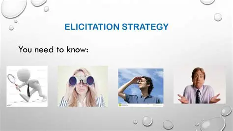 Functionality Expectations