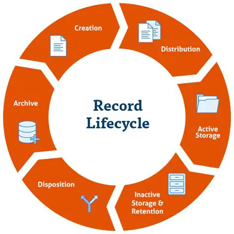 Functions of a Records Manager