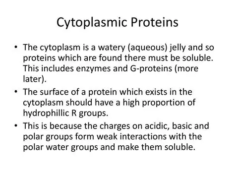 Functions of Cytoplasmic Proteins