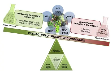 Further research on the mechanism of action of active compounds from Andaliman leaves