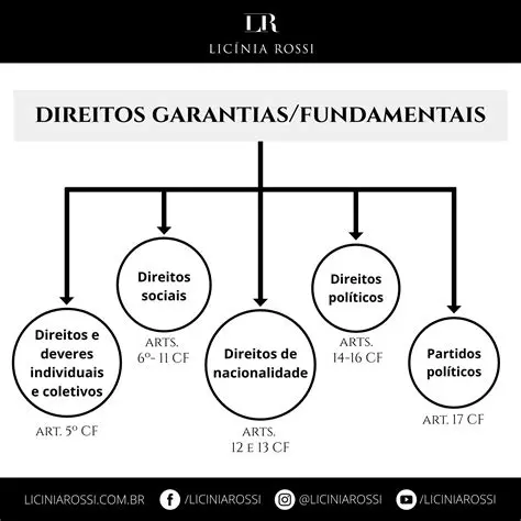 Garantia dos direitos e liberdades