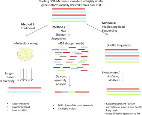 Gene Identification Methods