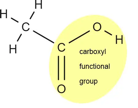 General Formula of the Carboxyl Functional Group
