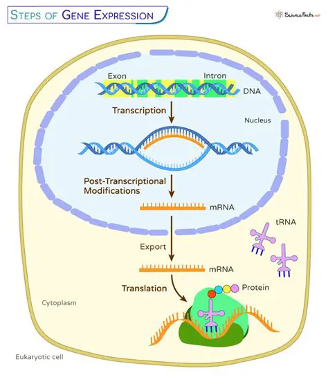 Genetic Research and Gene Expression