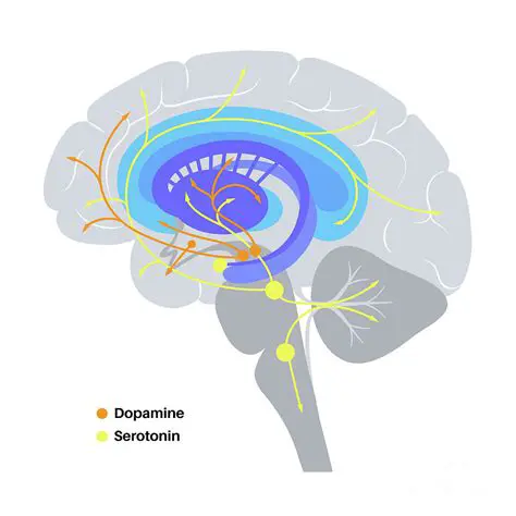 Genetic variants associated with dopamine and serotonin function