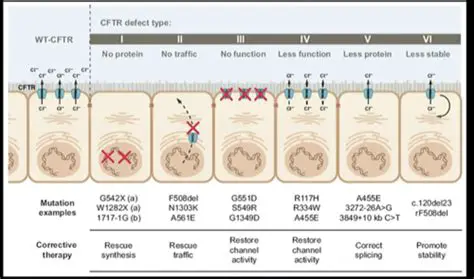 Genetics of Cystic Fibrosis